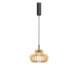 Подвесной светильник Maytoni MOD465PL-L12BK2