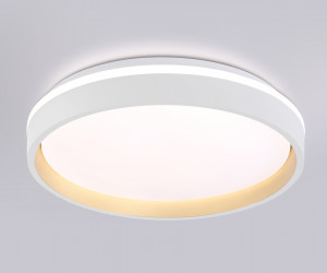 FZ601 WH/GD белый/золото IP20 46W 3000K-6500K+RGB D390*80 (ПДУ ИК)