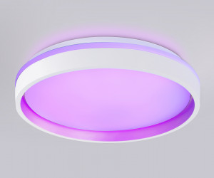 FZ601 WH/GD белый/золото IP20 46W 3000K-6500K+RGB D390*80 (ПДУ ИК)