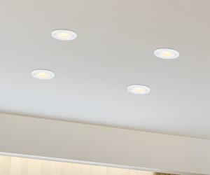 TN102450 WH белый GU5.3 D81*28