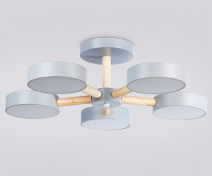 FL4826/5 GR серый 3000K-6400K 65W D580*160 (ПДУ ИК)