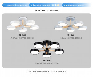 FL4826/5 GR серый 3000K-6400K 65W D580*160 (ПДУ ИК)
