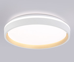 FZ607 WH/GD белый/золото IP20 66W 3000K-6500K+RGB D490*85 (ПДУ ИК)