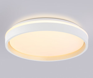 FZ607 WH/GD белый/золото IP20 66W 3000K-6500K+RGB D490*85 (ПДУ ИК)