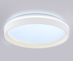 FZ607 WH/GD белый/золото IP20 66W 3000K-6500K+RGB D490*85 (ПДУ ИК)