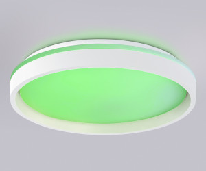 FZ607 WH/GD белый/золото IP20 66W 3000K-6500K+RGB D490*85 (ПДУ ИК)