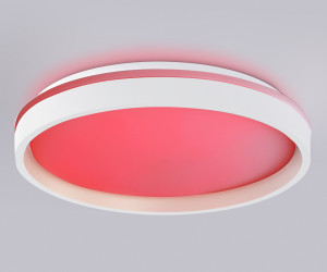 FZ607 WH/GD белый/золото IP20 66W 3000K-6500K+RGB D490*85 (ПДУ ИК)