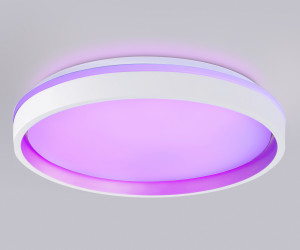 FZ607 WH/GD белый/золото IP20 66W 3000K-6500K+RGB D490*85 (ПДУ ИК)