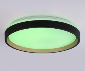 FZ610 BK/GD черный/золото IP20 66W 3000K-6500K+RGB D490*85 (ПДУ ИК)