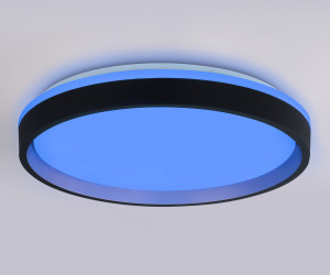 FZ610 BK/GD черный/золото IP20 66W 3000K-6500K+RGB D490*85 (ПДУ ИК)