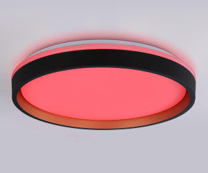 FZ610 BK/GD черный/золото IP20 66W 3000K-6500K+RGB D490*85 (ПДУ ИК)