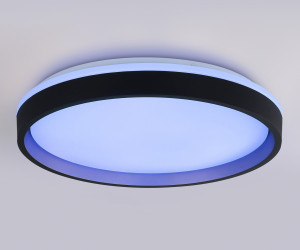 FZ610 BK/GD черный/золото IP20 66W 3000K-6500K+RGB D490*85 (ПДУ ИК)