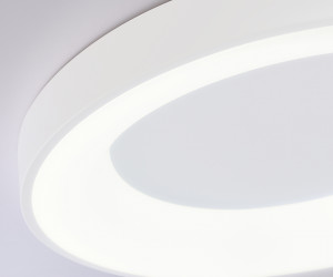 FZ1401 WH белый IP20 48W 3000K-6500K D500*50 (ПДУ ИК)