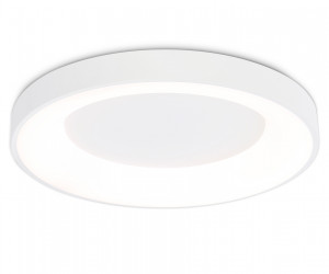 FZ1401 WH белый IP20 48W 3000K-6500K D500*50 (ПДУ ИК)