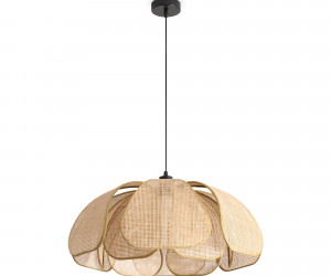 Подвесной светильник Freya FR5529PL-01B