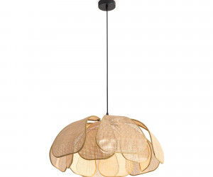 Подвесной светильник Freya FR5529PL-01B