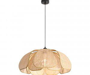 Подвесной светильник Freya FR5529PL-01B