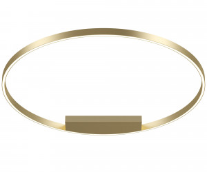 Потолочный светильник Maytoni MOD058CL-L65BSK