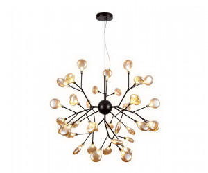 TR3021/36 DCF/TI темный кофе/янтарь G4/36 max 20W D750*650