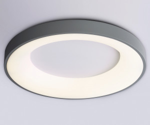 FZ1402 GR серый IP20 48W 3000K-6500K D500*50 (ПДУ ИК)