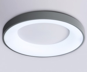 FZ1402 GR серый IP20 48W 3000K-6500K D500*50 (ПДУ ИК)