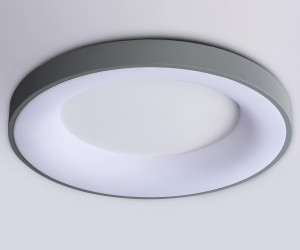 FZ1402 GR серый IP20 48W 3000K-6500K D500*50 (ПДУ ИК)