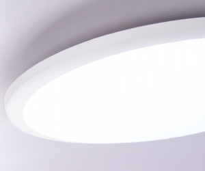 FZ1231 WH белый IP44 42W 6400К D370*55 (Без ПДУ)