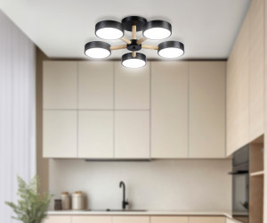 FL4828/5 BK черный 3000K-6400K 65W D580*160 (ПДУ ИК)