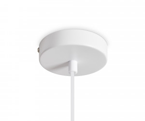 Подвесной светильник Freya FR5530PL-01W