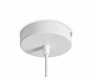 Подвесной светильник Freya FR5530PL-L10W