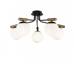 Потолочный светильник Freya FR5011CL-05B