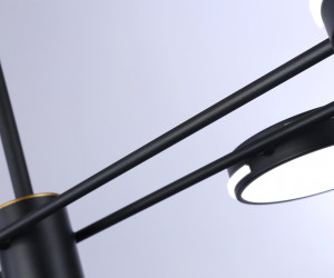 FL51645/8 BK/GD черный/золото 3000K/4200K/6400K 67W D1000*850 (Без ПДУ)