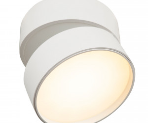 Потолочный светильник Technical C024CL-L18W