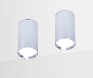 TN219 SL/S серебро/песок GU5.3 D56*100