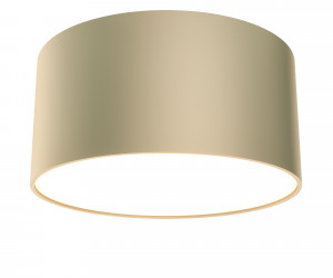 Потолочный светильник Technical C032CL-12W3K-RD-MG