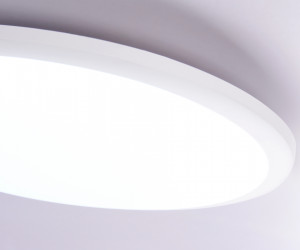 FZ1232 WH белый IP44 48W 6400К D450*55 (Без ПДУ)