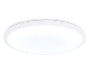 FZ1232 WH белый IP44 48W 6400К D450*55 (Без ПДУ)