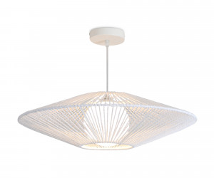 Подвесной светильник Freya FR5405PL-01W1