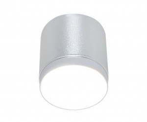 Потолочный светильник Technical C088CL-GX53-S