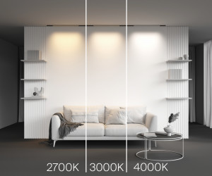 Трековый светильник Technical TR190-1-10W2.7K-B