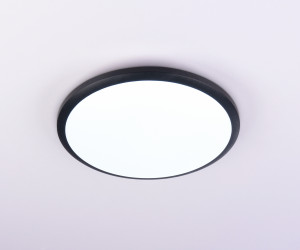 FZ1233 BK черный IP44 22W 6400К D260*55 (Без ПДУ)