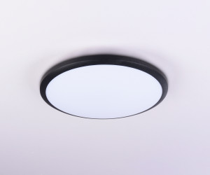 FZ1233 BK черный IP44 22W 6400К D260*55 (Без ПДУ)