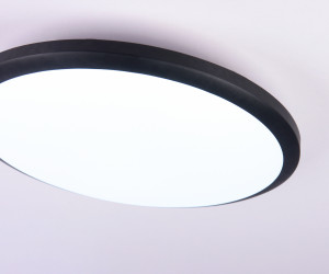 FZ1233 BK черный IP44 22W 6400К D260*55 (Без ПДУ)