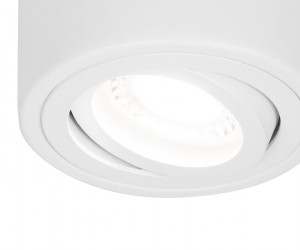 TN225 WH белый GU5.3 D80*100