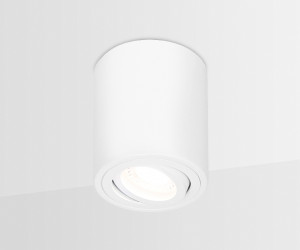 TN225 WH белый GU5.3 D80*100