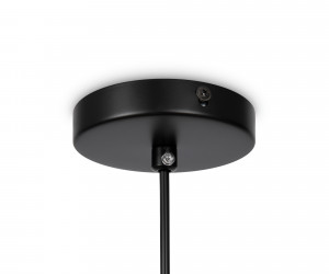 Подвесной светильник Freya FR5218PL-01B1