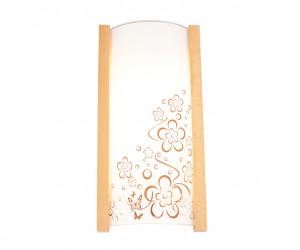 Настенно-потолочный светильник 6423-Лето-2W NL 000040295