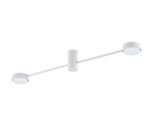 Потолочный светильник Freya FR5363CL-02W1