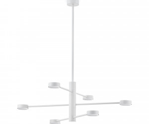 Потолочный светильник Freya FR5363CL-06W