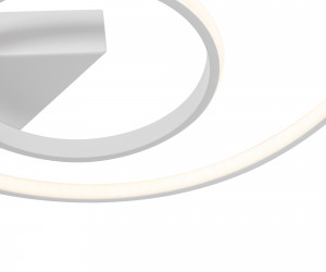 Потолочный светильник Freya FR6020CL-L31W